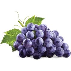 GRAPE