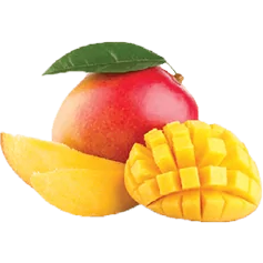 MANGO 1