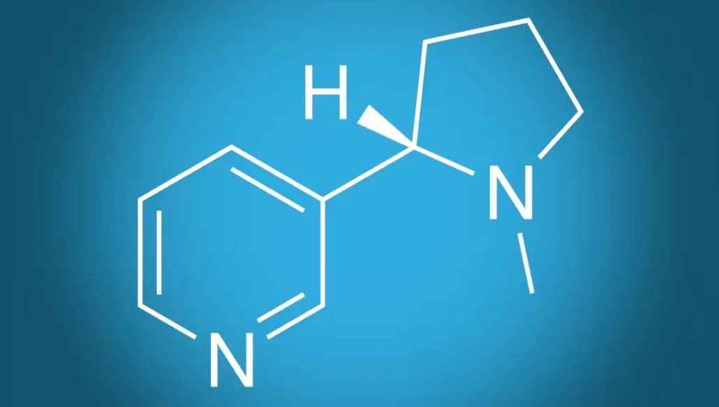 Nicotine Everything You Need to Know