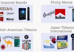 Top 10 E-Cigarette Companies in the World 2023