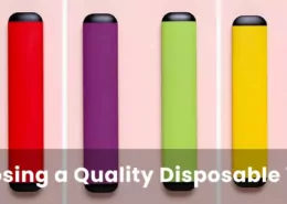 What to Consider When Choosing a Quality Disposable Vape