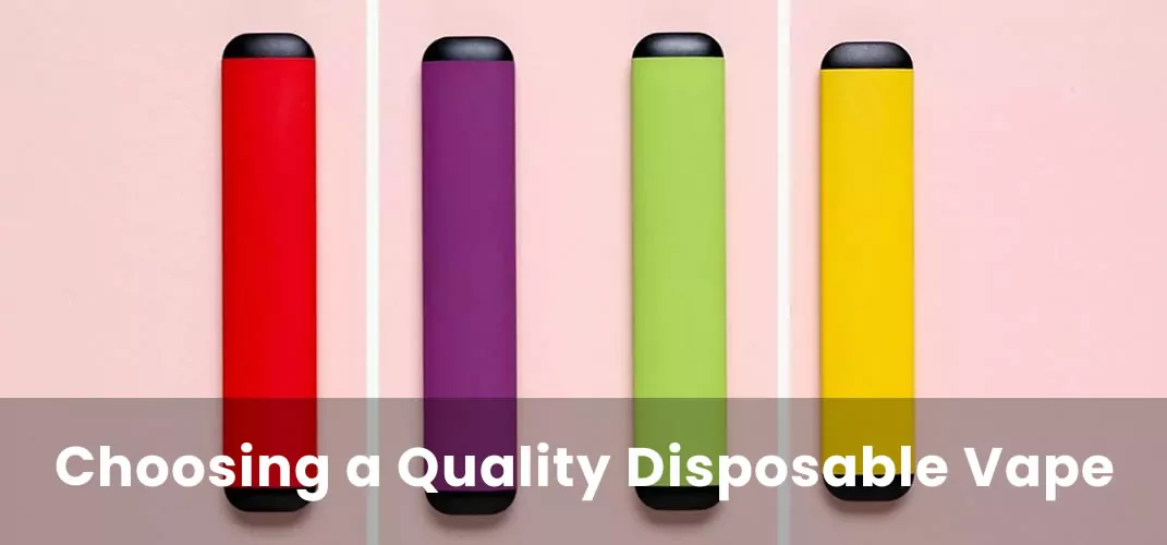 What to Consider When Choosing a Quality Disposable Vape