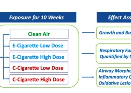 E-Cigarettes Less Harmful