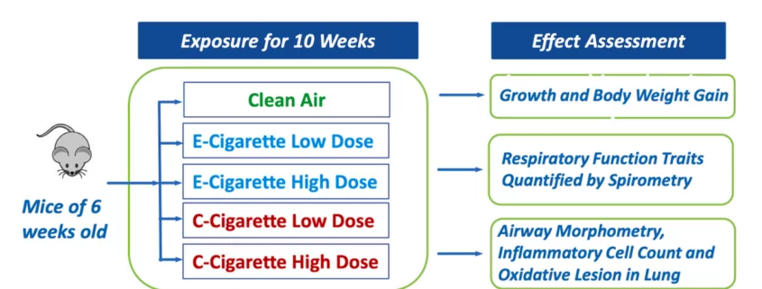 E-Cigarettes Less Harmful