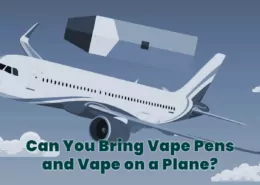 Can You Bring Vape Pens and Vape on a Plane?