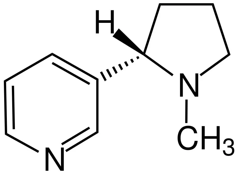 Freebase Nicotine