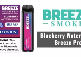 Blueberry Watermelon Breeze Pro review