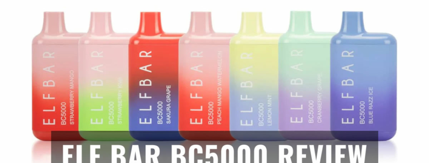 Elf Bar BC5000 review