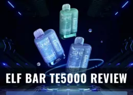 Elf Bar TE5000 review