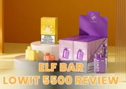 Elf Bar lowit 5500 review