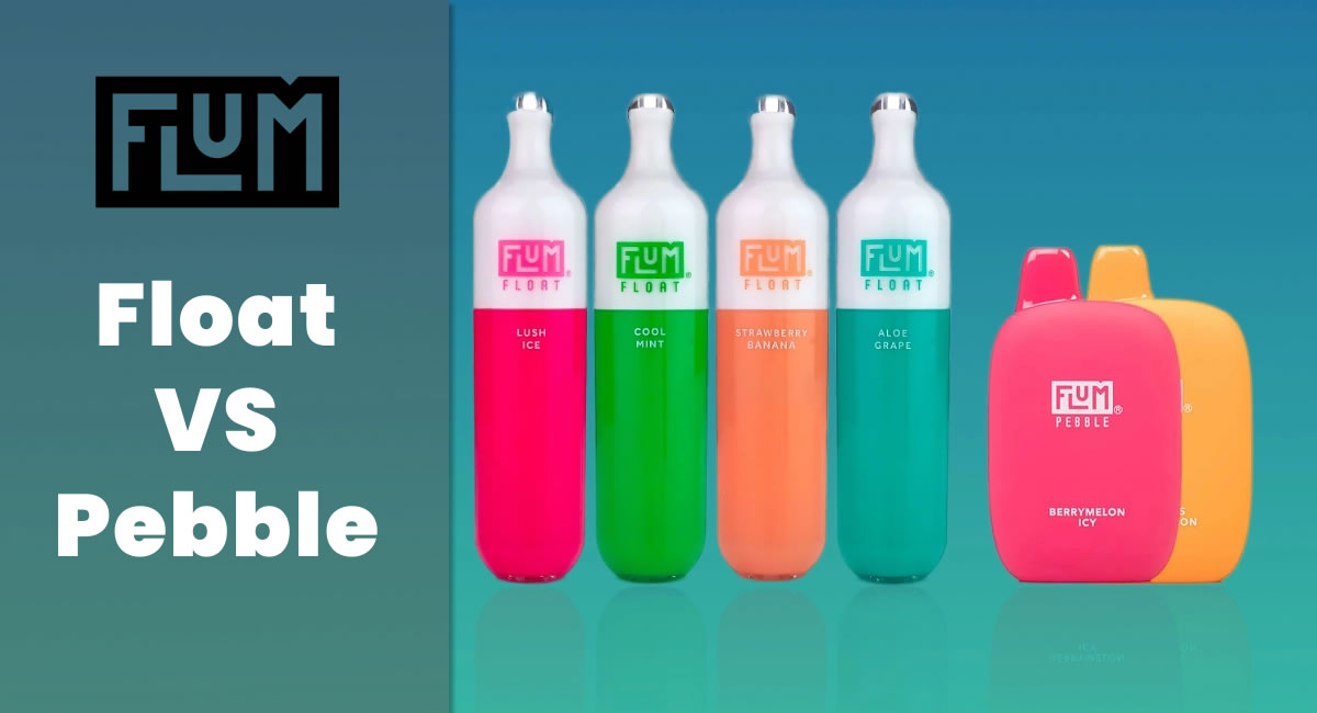 Flum Float vs Flum Pebble Comprehensive Comparison Guide Ecigator