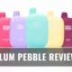 Flum pebble review