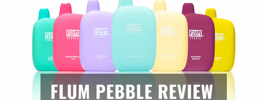 Flum pebble review