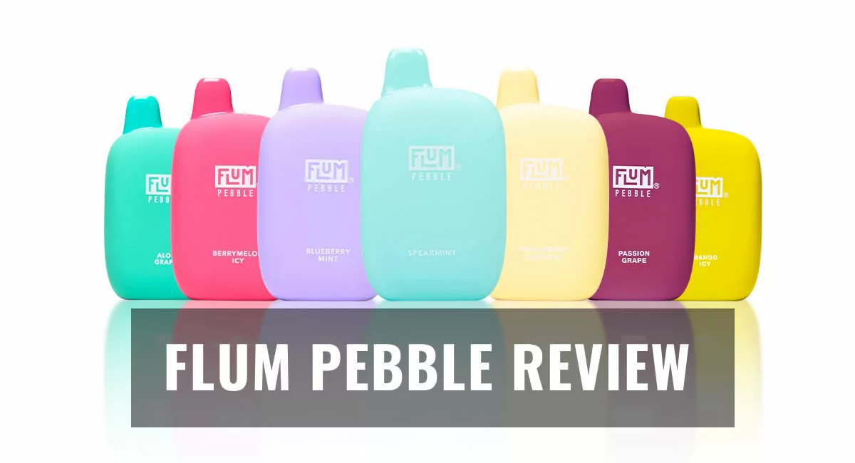 Flum pebble review