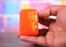 Top 10 Lost Mary OS5000 Flavors
