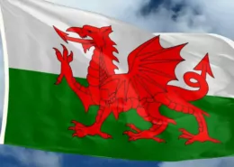 Welsh Vapers Petition