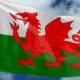 Welsh Vapers Petition