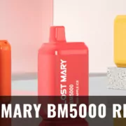 lost mary BM5000 review