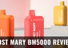 lost mary BM5000 review