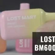 lost mary bm600 review