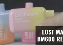 lost mary bm600 review