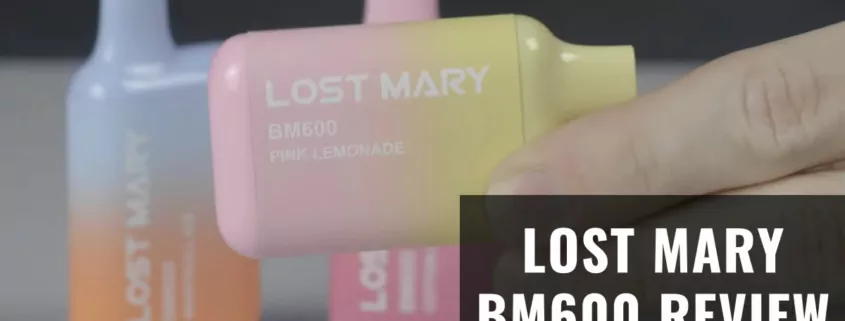 lost mary bm600 review