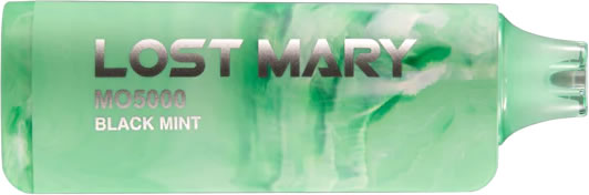 The Top 10 Best Lost Mary MO5000 Flavors You Should Try in 2024 2 lost mary bo5000 black mint