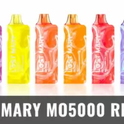 Lost Mary MO5000 Review