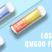 top 10 lost mary qm600 flavors