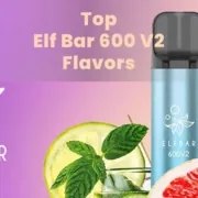 Top Elf Bar 600 V2 Flavors