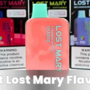 1694687968 Best Lost Mary Flavors