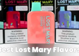 1694687968 Best Lost Mary Flavors