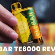 ELFBAR TE6000 review