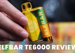 ELFBAR TE6000 review