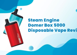 Steam Engine Domer Box 5000 Disposable Vape Review