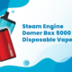 Steam Engine Domer Box 5000 Disposable Vape Review