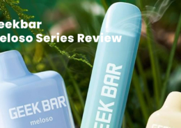 Geekbar Meloso Series Review