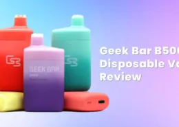 Geek Bar B5000 Disposable Vape Review