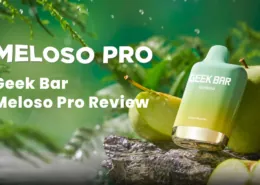 Geek Bar Meloso Pro Review