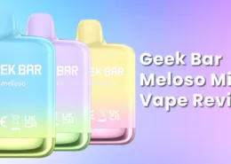 Geek Bar Meloso Mini Vape Review