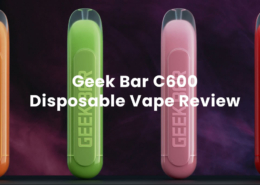 Geek Bar C600 Review
