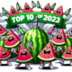 1698008254 Top 10 Watermelon Disposable Vape