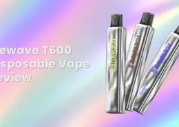 Icewave T600 Disposable Vape Review