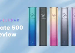 Elf Bar Mate 500 Review