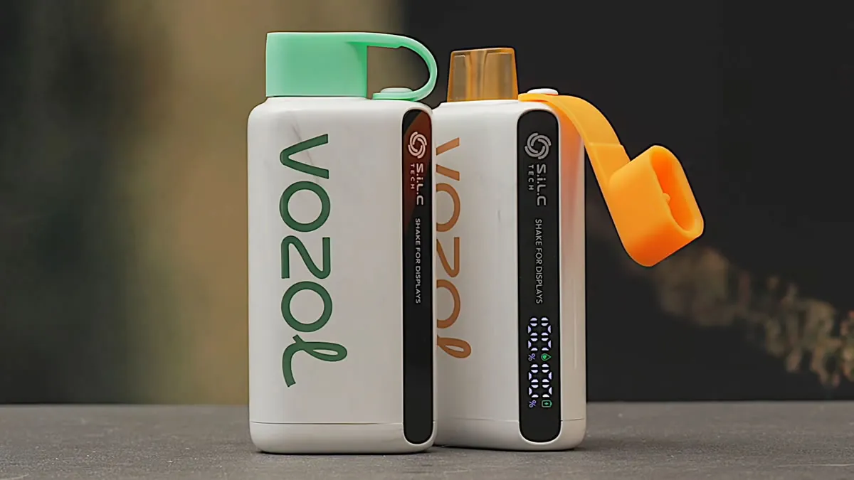 Vozol Star 9000 Disposable Vape