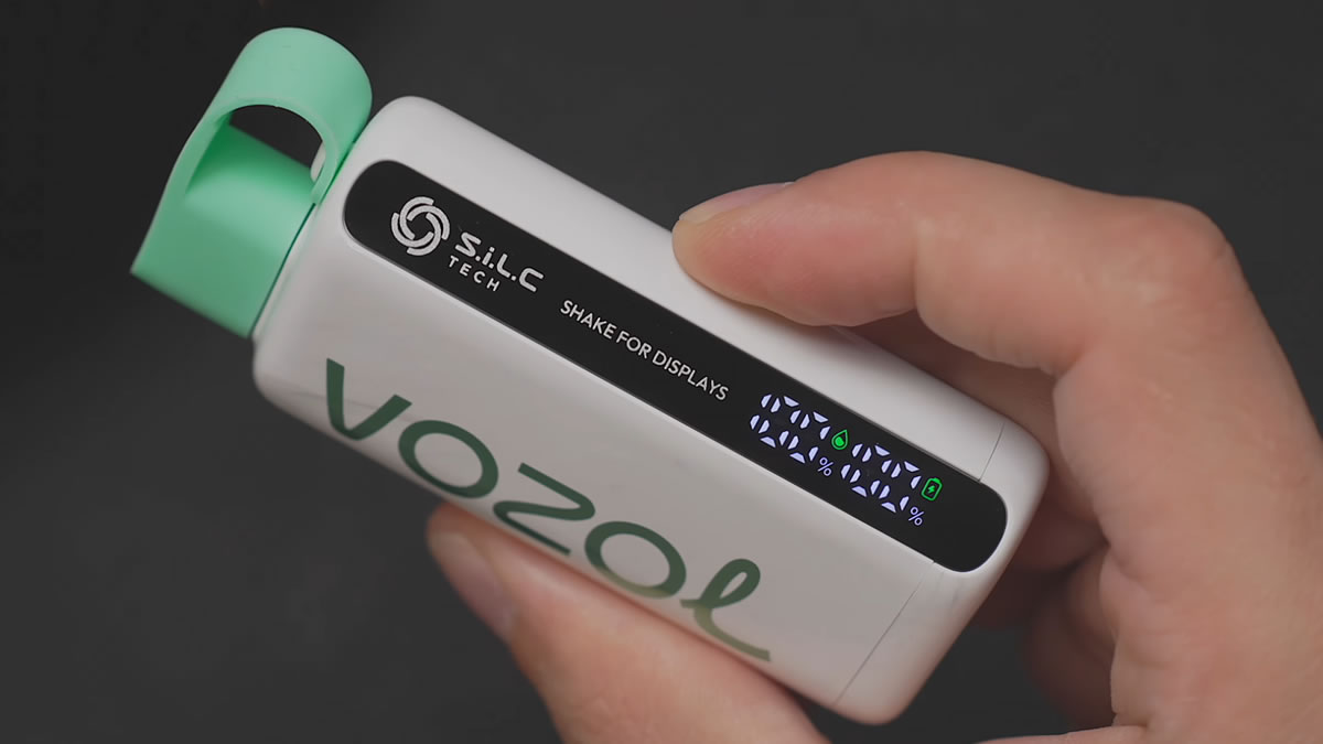 vozol vape display Vozol Star 9000 Disposable Vape Review