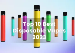 Top 10 Best Disposable Vapes