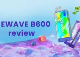 Icewave B600 disposable vape review