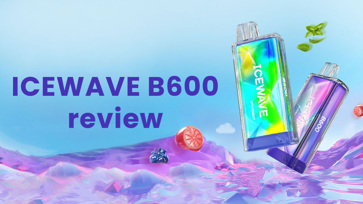 elfbar elfa master akku Icewave B600 Disposable Vape Review