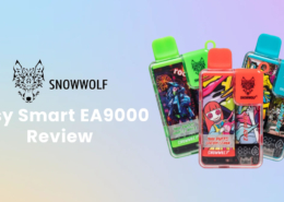 Snowwolf Easy Smart EA9000 Disposable Vape Review